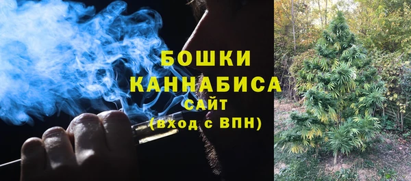 spice Осташков