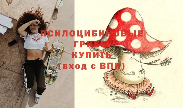 мет Осинники