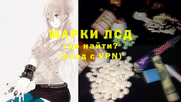 spice Осташков