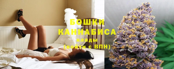 мет Осинники