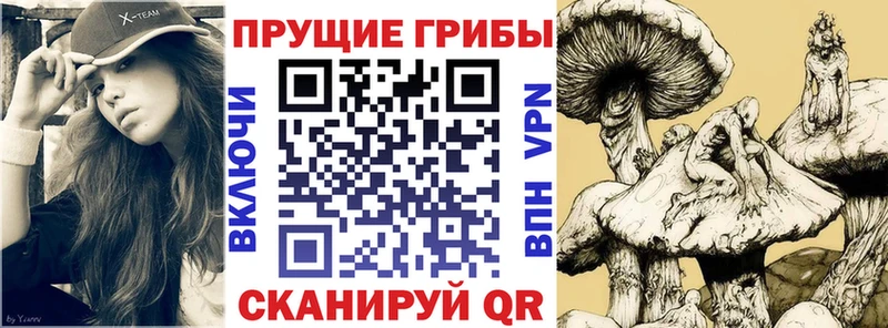 Купить закладки  Ейск  Галлюциногенные грибы Psilocybine cubensis 